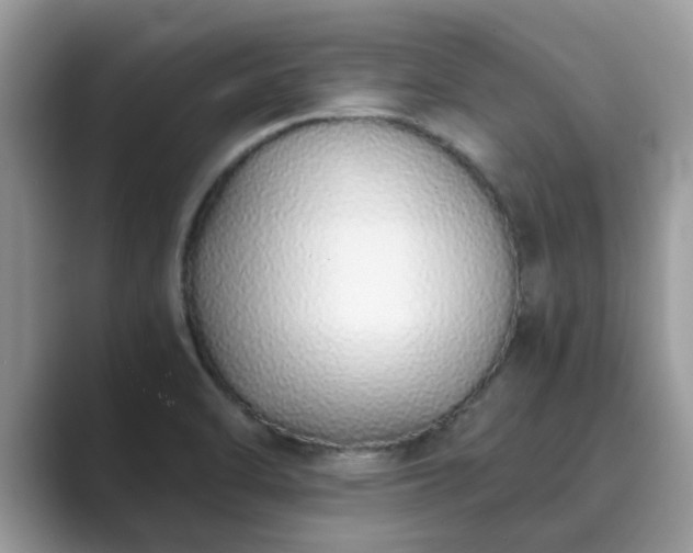 X0000089871470200707051143