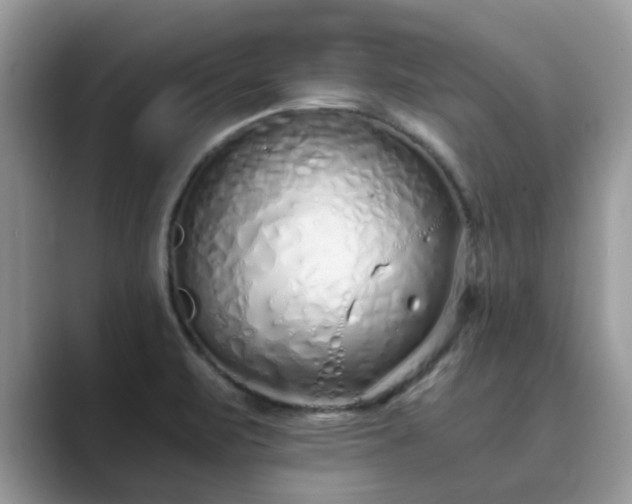 X0000089871471200707051143