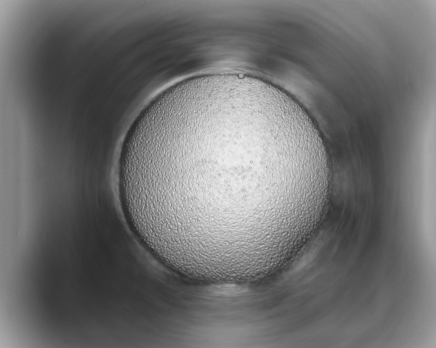 X0000089871478200707051143