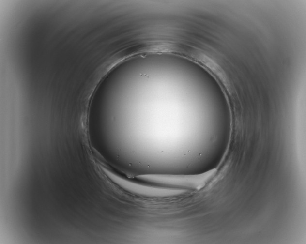 X0000089871481200707051143