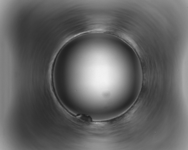 X0000089871483200707051143