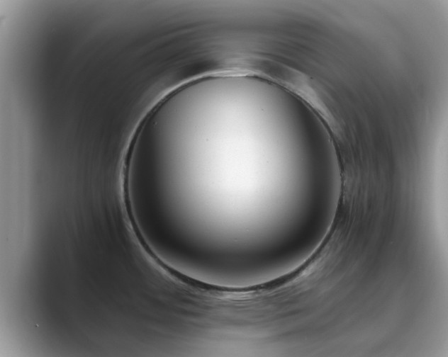 X0000089871484200707051143