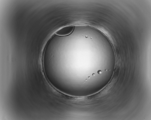 X0000089871486200707051143