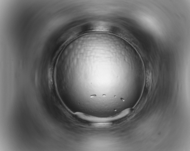 X0000089871487200707051143