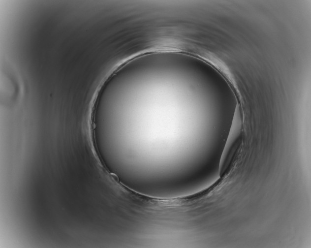 X0000089871488200707051143