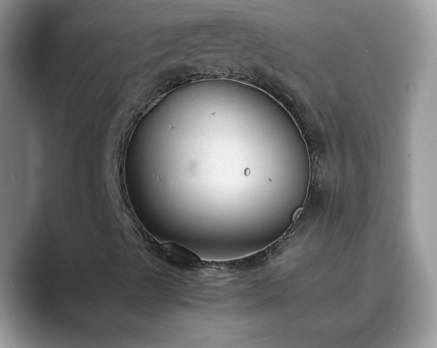 X0000089871489200707051142