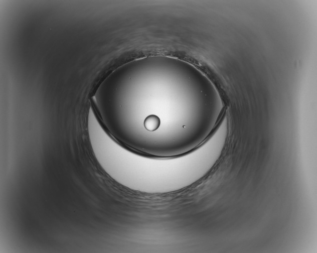 X0000089871492200707051142