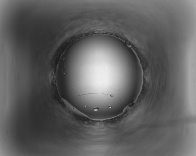 X0000089871495200707051142