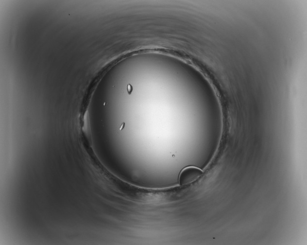 X0000089871497200707051142