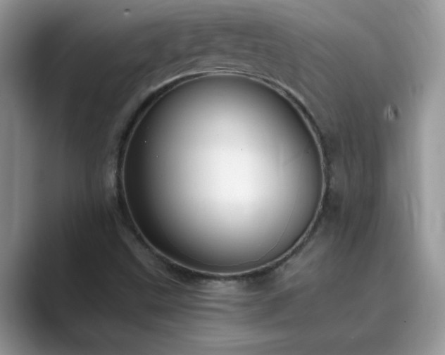 X0000089871499200707051142