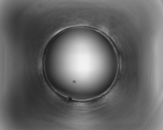 X0000089871500200707051142