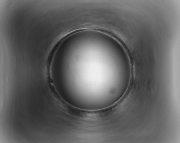 X0000089871501200707051142