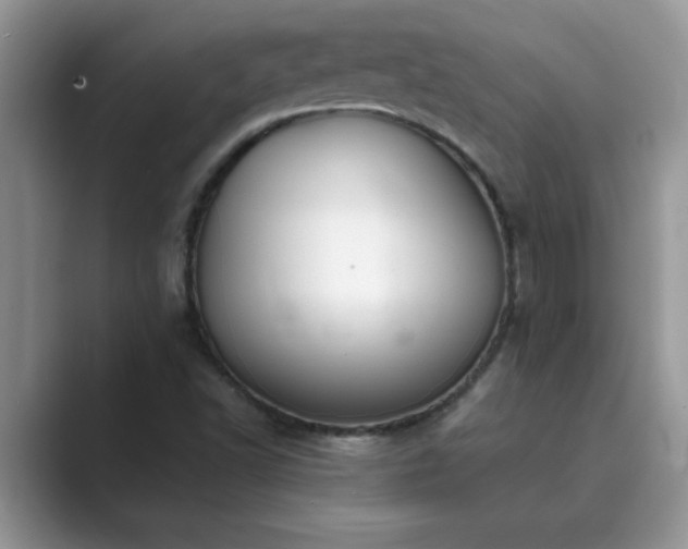 X0000089871502200707051142