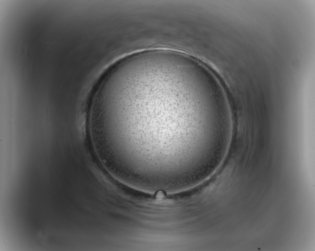 X0000089871503200707051142