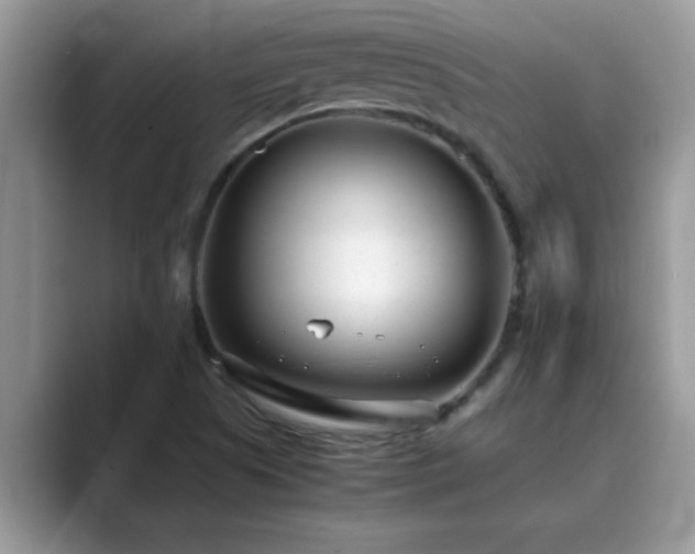 X0000089871505200707051142