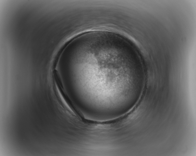 X0000089871506200707051142