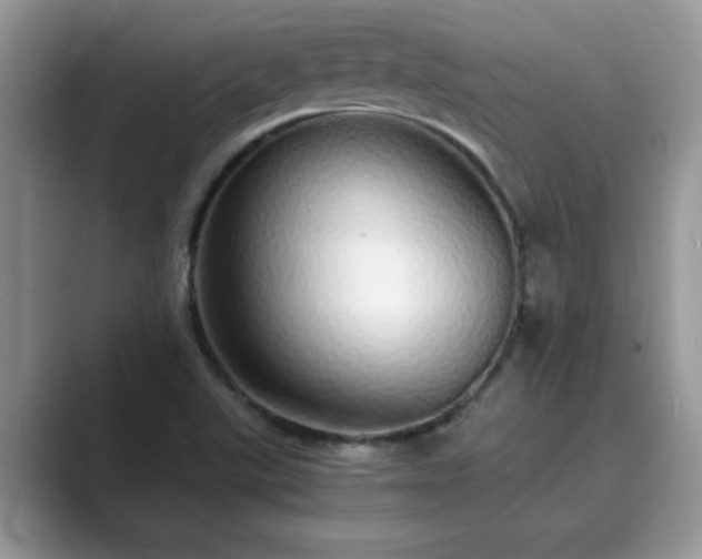 X0000089871507200707051142