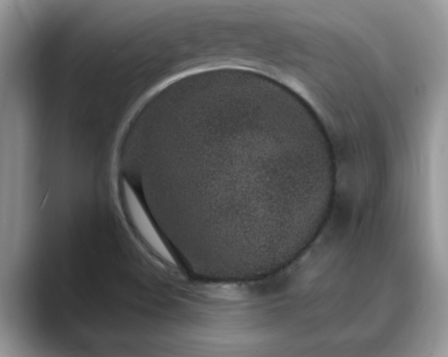 X0000089871508200707051142