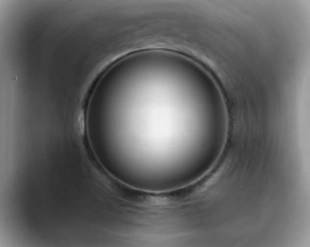 X0000089871509200707051142