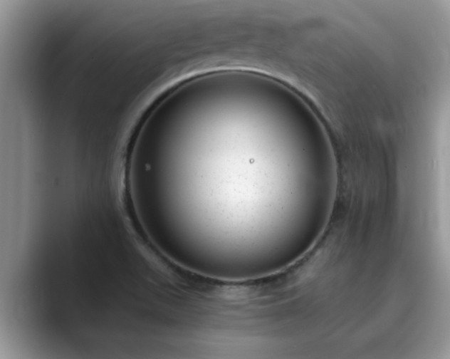 X0000089871511200707051142