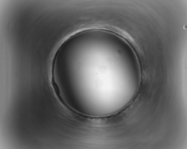 X0000089871512200707051142