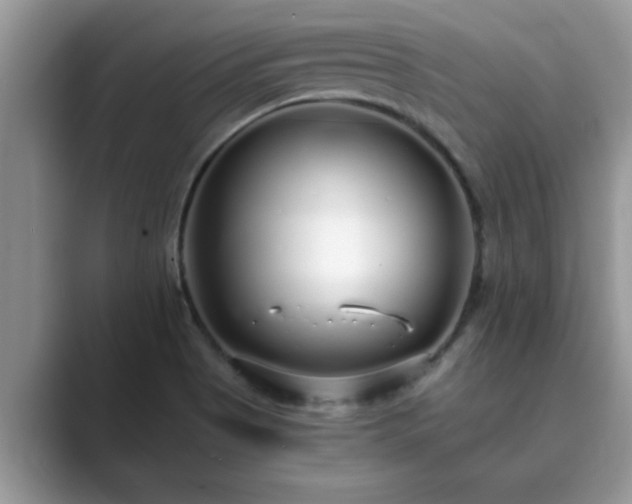 X0000089871513200707051142