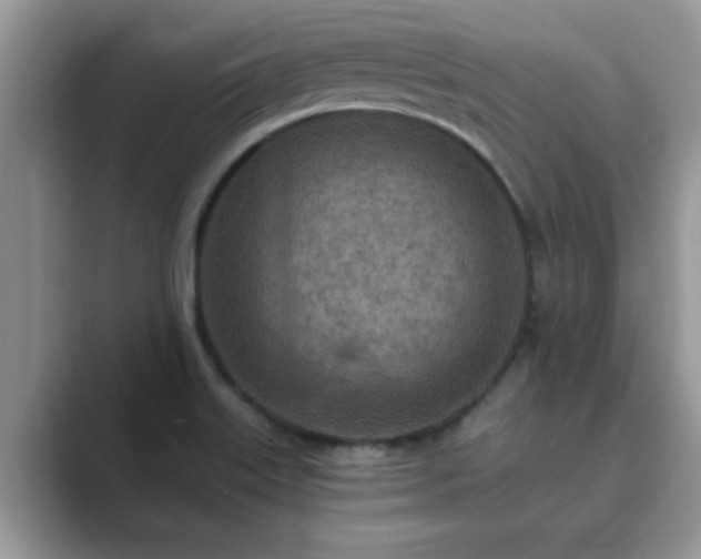 X0000089871515200707051142