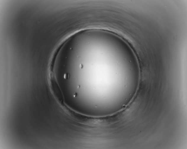 X0000089871517200707051142