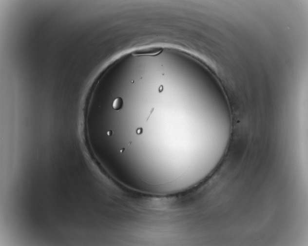 X0000089871518200707051142