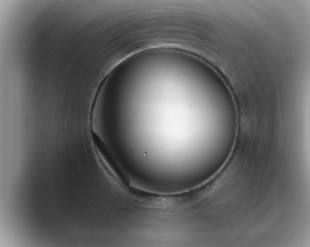 X0000089871521200707051142