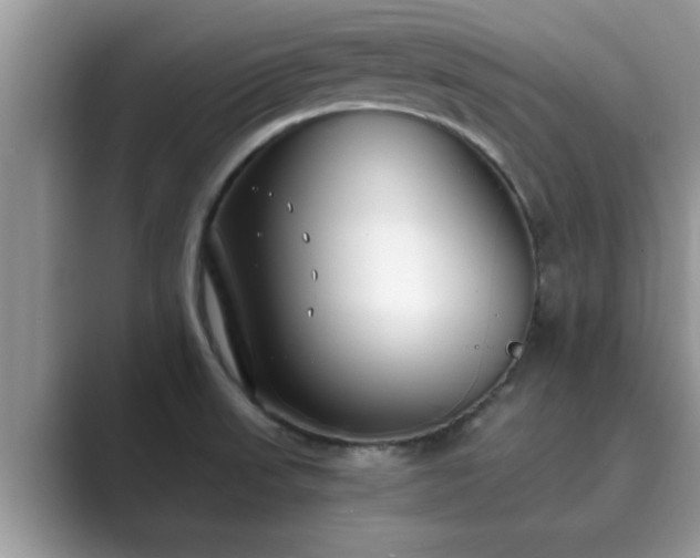 X0000089871523200707051142