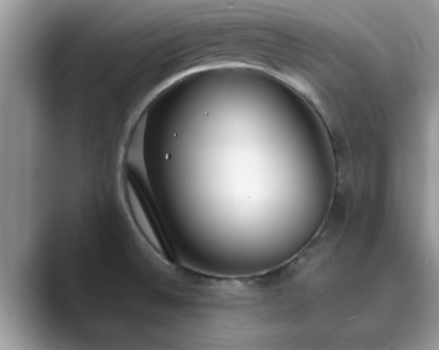 X0000089871524200707051142