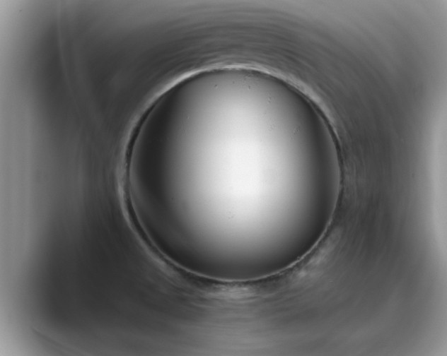 X0000089871525200707051142