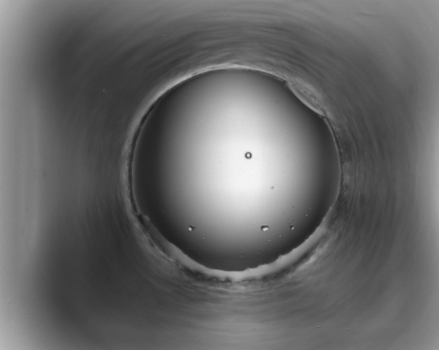 X0000089871530200707051143