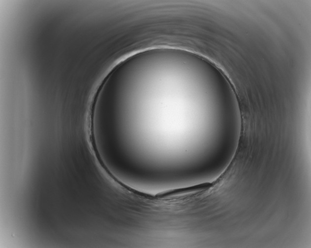 X0000089871531200707051143