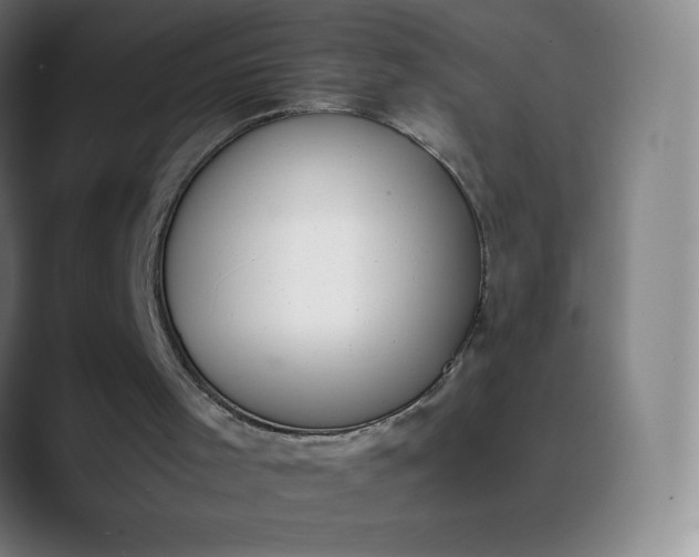 X0000089870001200707121803