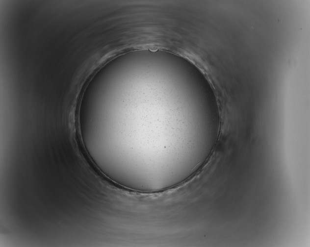 X0000089870002200707121803