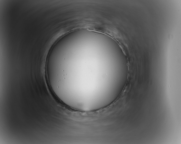 X0000089870003200707121803