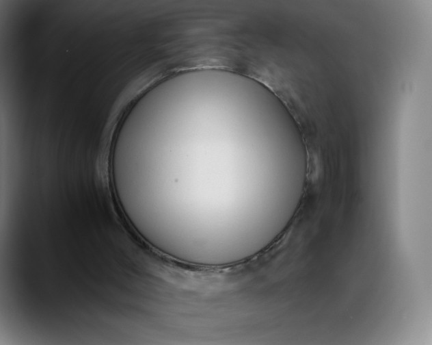 X0000089870004200707121803