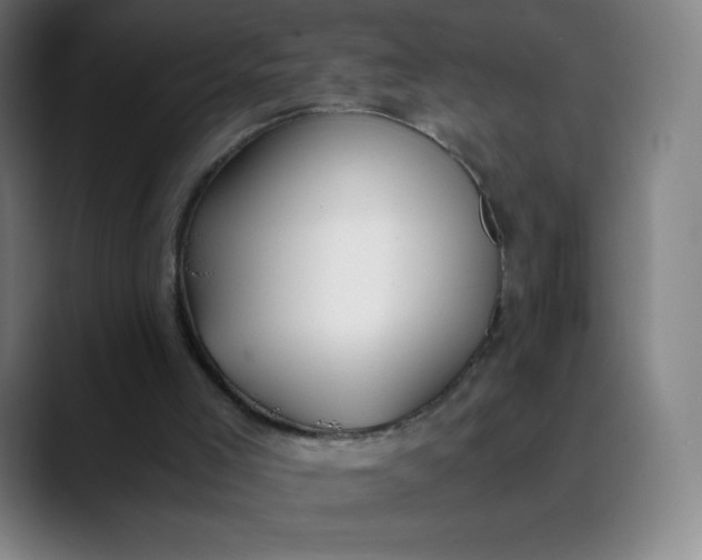 X0000089870005200707121803