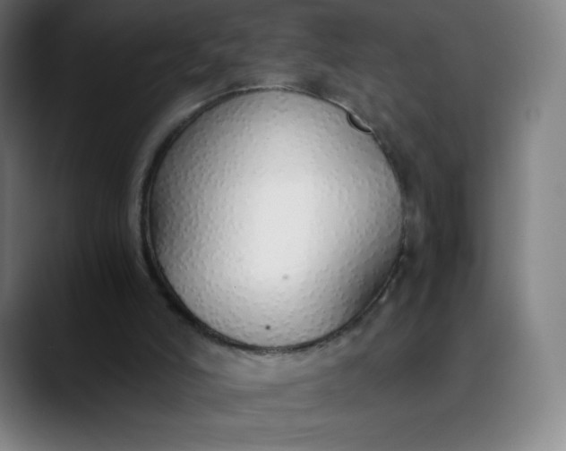 X0000089870006200707121803