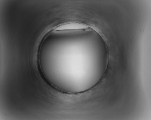 X0000089870007200707121803