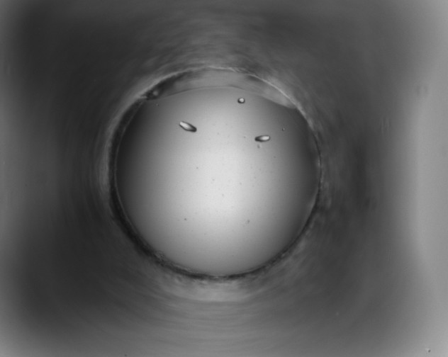 X0000089870008200707121803