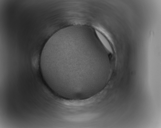 X0000089870009200707121803