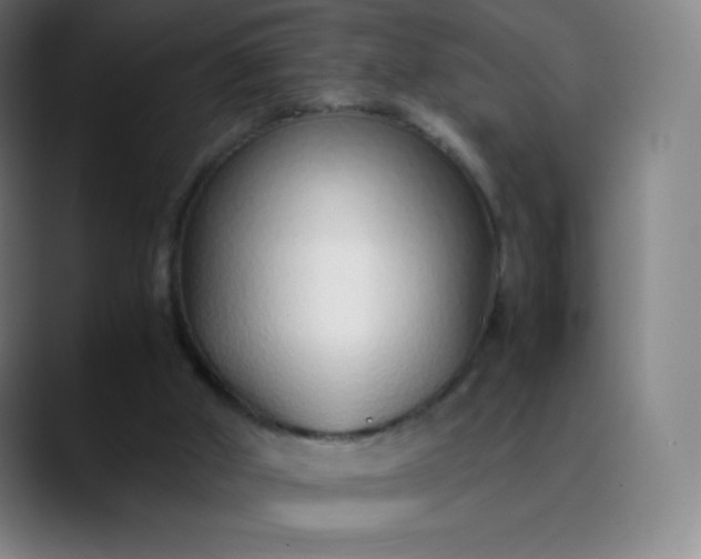 X0000089870010200707121803