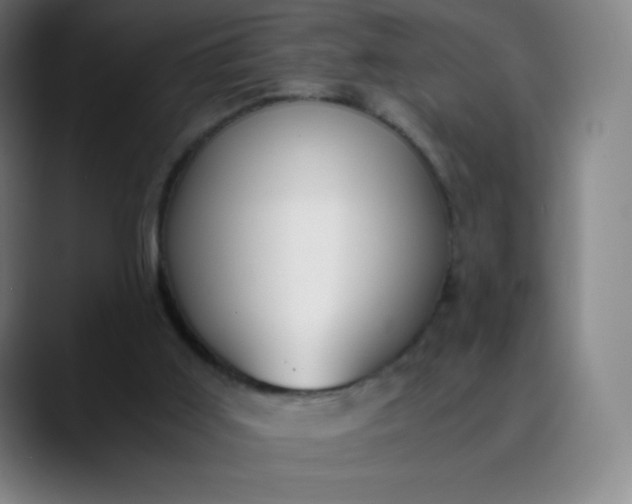 X0000089870011200707121803