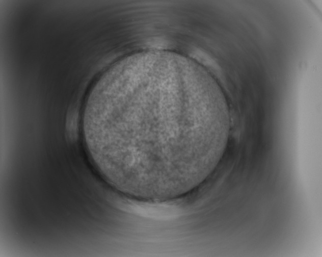 X0000089870012200707121803