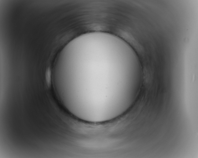 X0000089870014200707121802