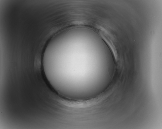 X0000089870015200707121802