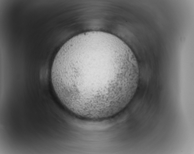 X0000089870016200707121802